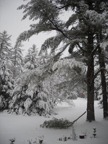 Amherst New Hampshire Snow Storm
